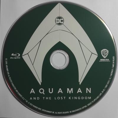 Aquaman a ztracené království - Aquaman and the Lost Kingdom - BD CZ