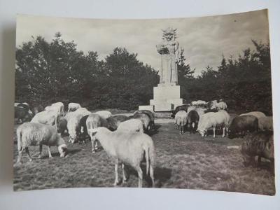 MS o. NOVÝ JIČÍN - RADHOŠŤ - socha RADEGAST pstva ovce