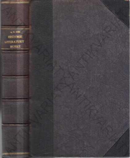 História literatúry ruskej XIX. storočia A.G. Tieň - Odborné knihy