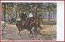 Kone (zvieratá) * žena, muž, jazdec, krajina, sign. Winterowski * M3622 - Pohľadnice