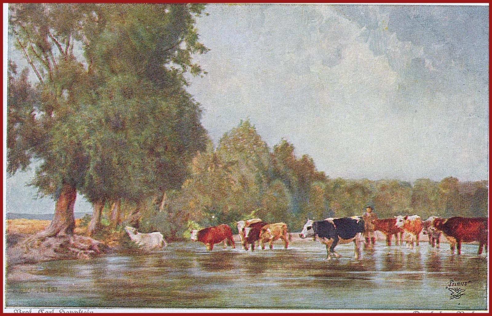 Kravy (zvieratá) * rieka, stádo, krajina, sign. Kappstein * M3630 - Pohľadnice