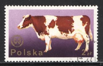 Polsko  1975