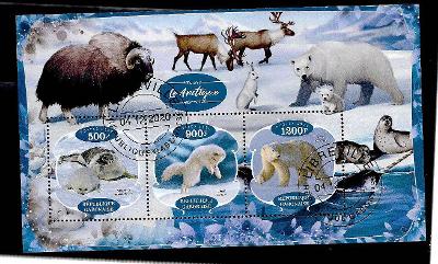 Gabon 2020 - tuleň grónský, liška polární, lední medvěd, pižmoň, sob..