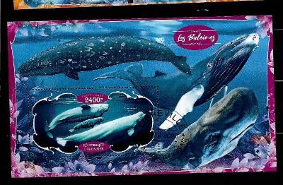 Gabon 2020 - velryby - běluha, keporkak