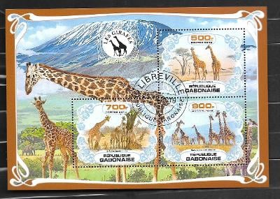Gabon - žirafa západoafrická, žirafa Rotschildova, žirafa jižní