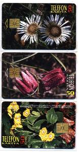Čipové telefonní karty - Maďarsko - chráněné květiny - kompletní série