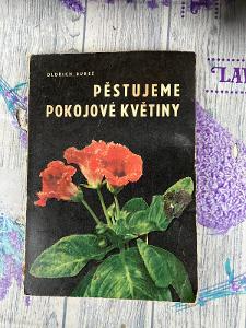 Kniha PĚSTUJEME POKOJOVÉ KVĚTINY, O. Bureš, fotky, rostliny 1965 