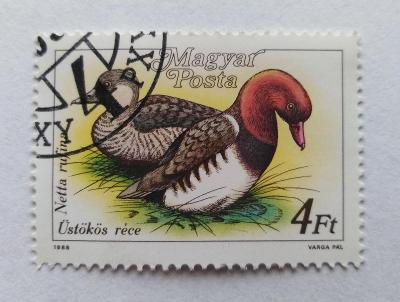 Poštovní známka - Real foto- vlastně  tmavší-Aukce od korunky!   