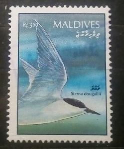 274 Maledivy.