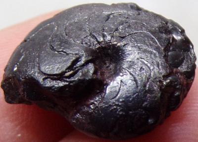 Amonit - Hematit - Unikátní Fosilie cca 200 mil let - Maroko - TOP