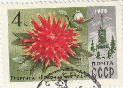 Ze známek SSSR od koruny - strana 7