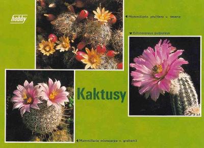 KAKTUSY - POHLEDNICE -635-SQ42