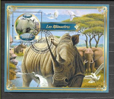 Madagaskar 2022 -  nosorožec tuponosý, slon
