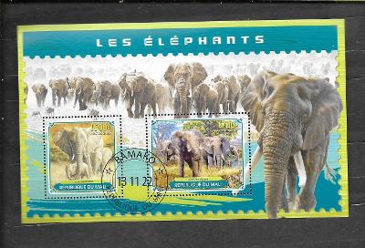 Mali 2022 - slon africký - stádo na pochodu