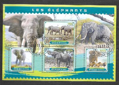 Mali 2022 - slon africký, lvi, zebry, psi hyenovití