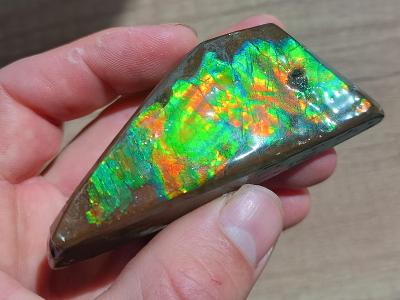 Ammolit - velký kus - výrazné barvy