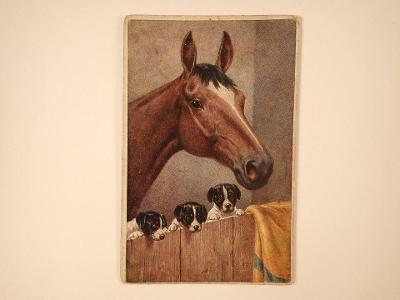 Hnědý kůň a psi (P3975)