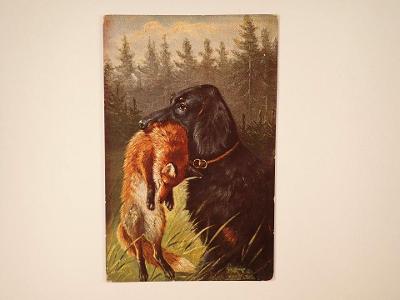 Liška a lovecký pes (P3970)