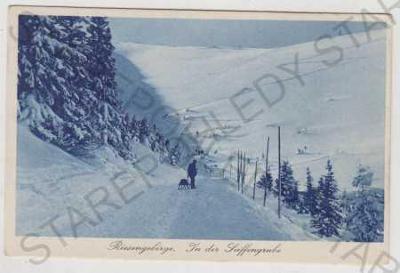 Krkonoše (Riesengebirge), sníh, zimní, saně