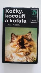 kniha - Pintera - Kočky, kocouři a koťata