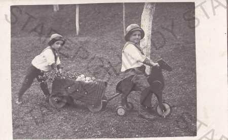 Děti - fotografie, dvě děti, koník a vozík