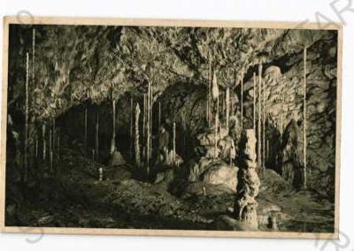 Kateřinská jeskyně, krápníkový lesík, Blansko, fot