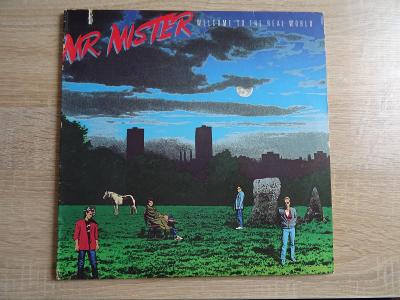 LP MR.MISTER - Welcome To The Ral World