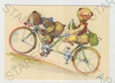 Salač, medvědi, humor, bicykl, kolorovaná