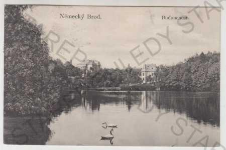 Havlíčkův Brod (Německý Brod), rybník, labuť, Budo