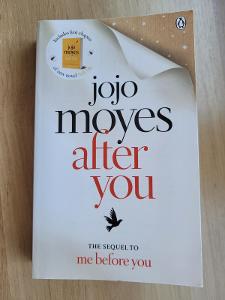 Kniha After You, Jojo Moyes