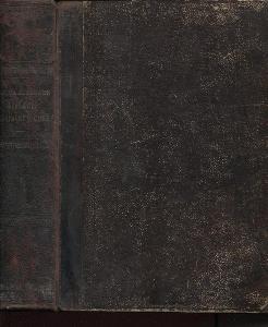 Historie literatury české (1849), aneb soustavný přehle