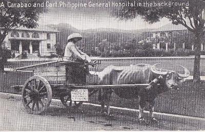 FILIPINY - CARABAO - BUVOL A POVOZ - 123-AD10