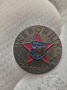 Odznak prebornik slavia 1954