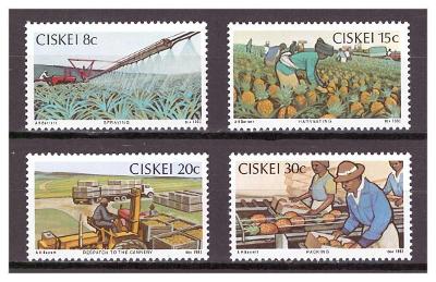 Ciskei 1982  "Pineapple Industry"