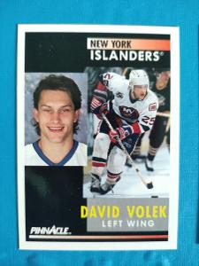 Volek David New York Islanders Češi v NHL
