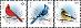 Kanada 2022 Známky 3974-3976 ** Vianoce vtáctvo - Známky Amerika