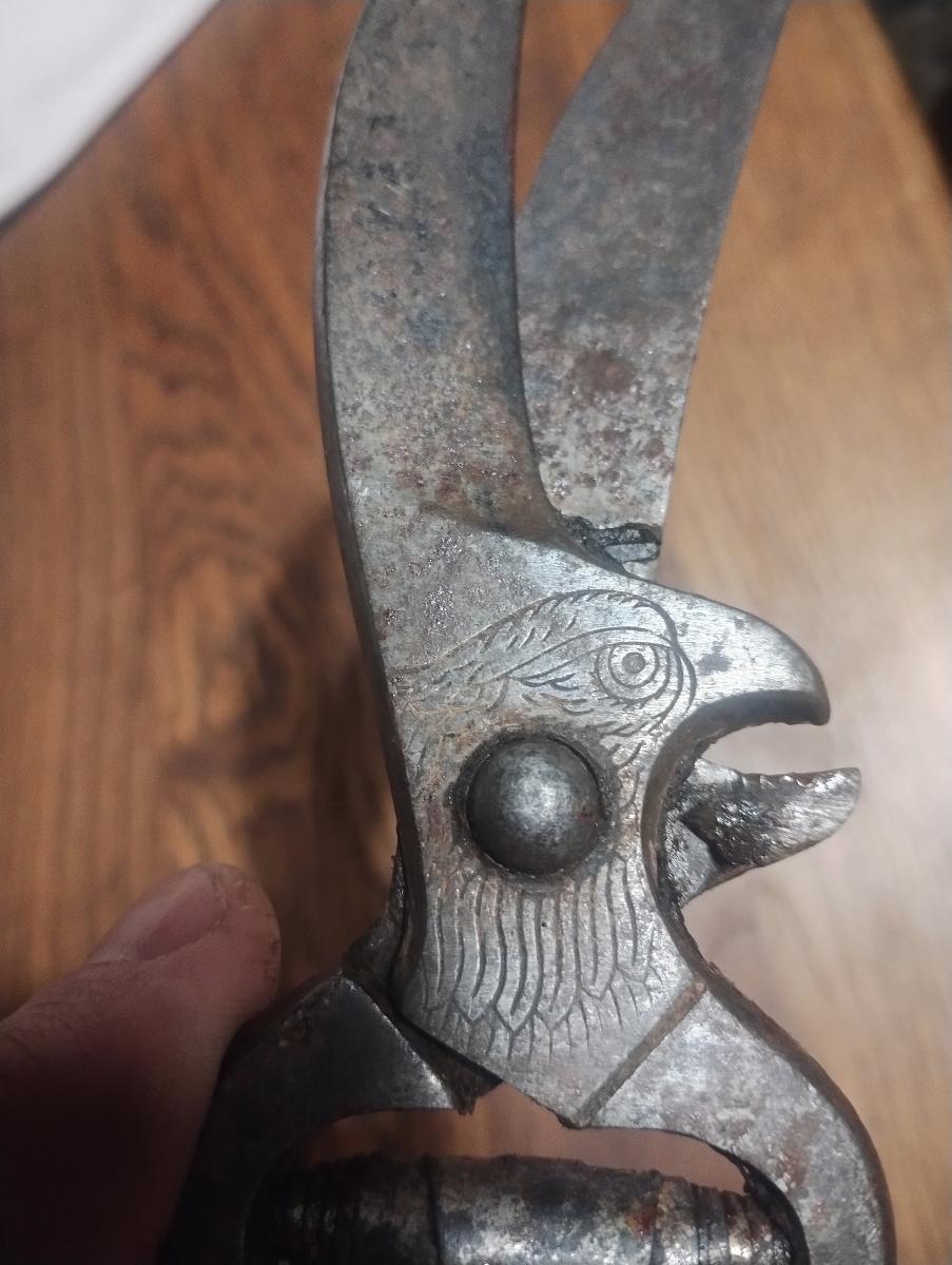 Starožitné nožnice s hlavou orla, vzácne, značené - Starožitnosti