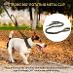 J16 Tréningová ultrazvuková psia píšťalka + vodítko - Psy a potreby na chov