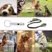 J16 Tréningová ultrazvuková psia píšťalka + vodítko - Psy a potreby na chov