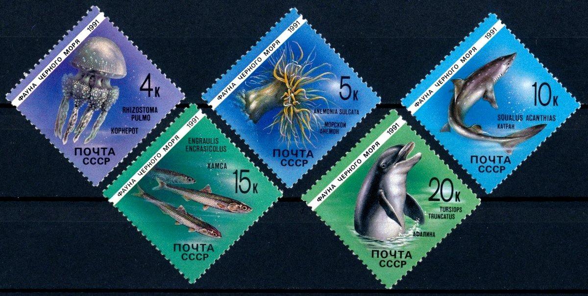 ZSSR 1991 **/Mi. 6158-62, komplet, fauna Čierneho mora, ryby ai. - Tematické známky