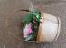prútený košíček s plastovým kvetom a listami ako dekorácia - Zariadenia pre dom a záhradu