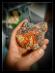 Achát Horné Halže - Červená 🔥💥💎 zbierkový kus - Minerály a skameneliny