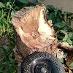 Rašpľový brúsny rezbársky a hobľovací kotúč na drevo do uhlovej brúsky - Elektrické náradie