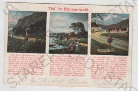 Šumava, viac záberov, text, info, kolorovaná - Pohľadnice miestopis