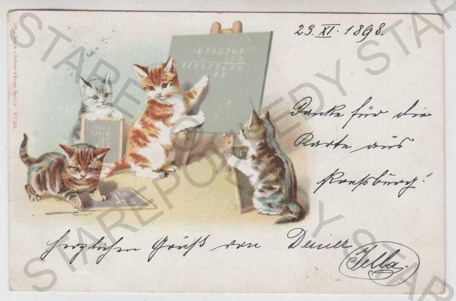 Mačka, tabuľa, kolorovaná, DA - Pohľadnice