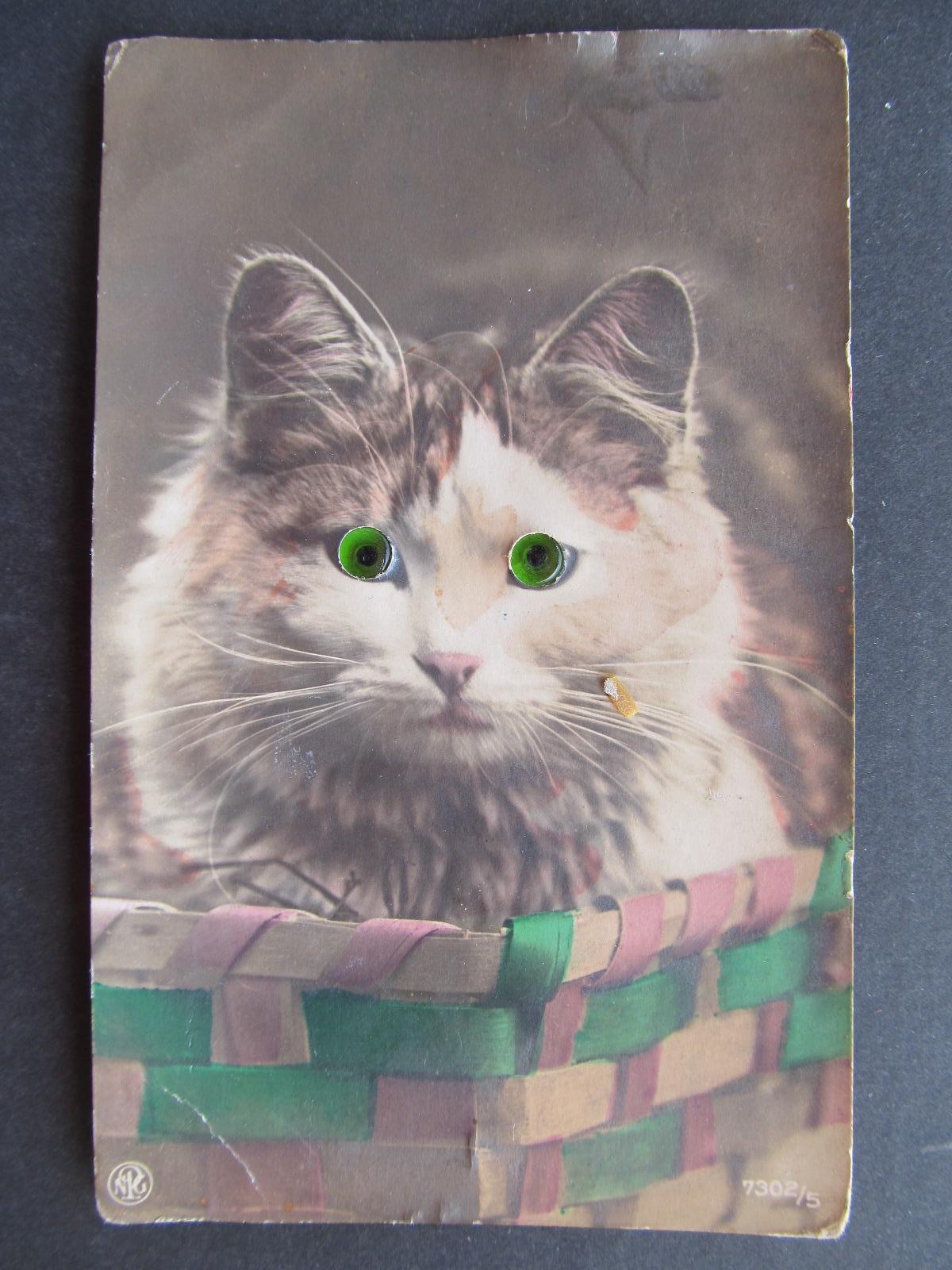 p8944 Humor žmurkanie sklenené oči mačky cca. 1920 - Pohľadnice