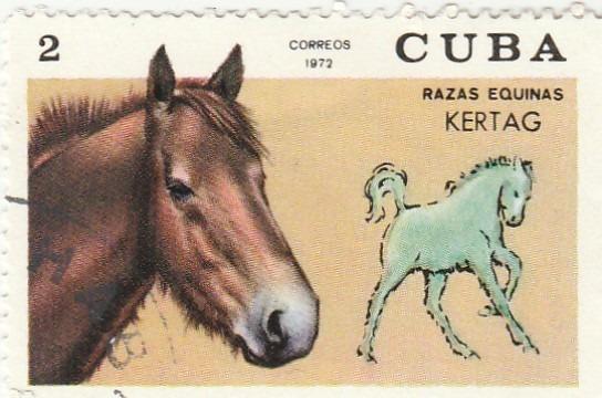 Kuba - na doplnenie - fauna - Známky