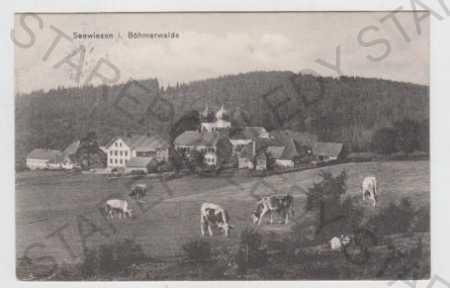 Javorná (Seewiesen) - Klatovy, celkový pohľad, kra - Pohľadnice miestopis