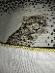 Vintage dekoračná obliečka na vankúš leopard 40 x 40 cm - Bytový textil