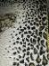 Vintage dekoračná obliečka na vankúš leopard 40 x 40 cm - Bytový textil